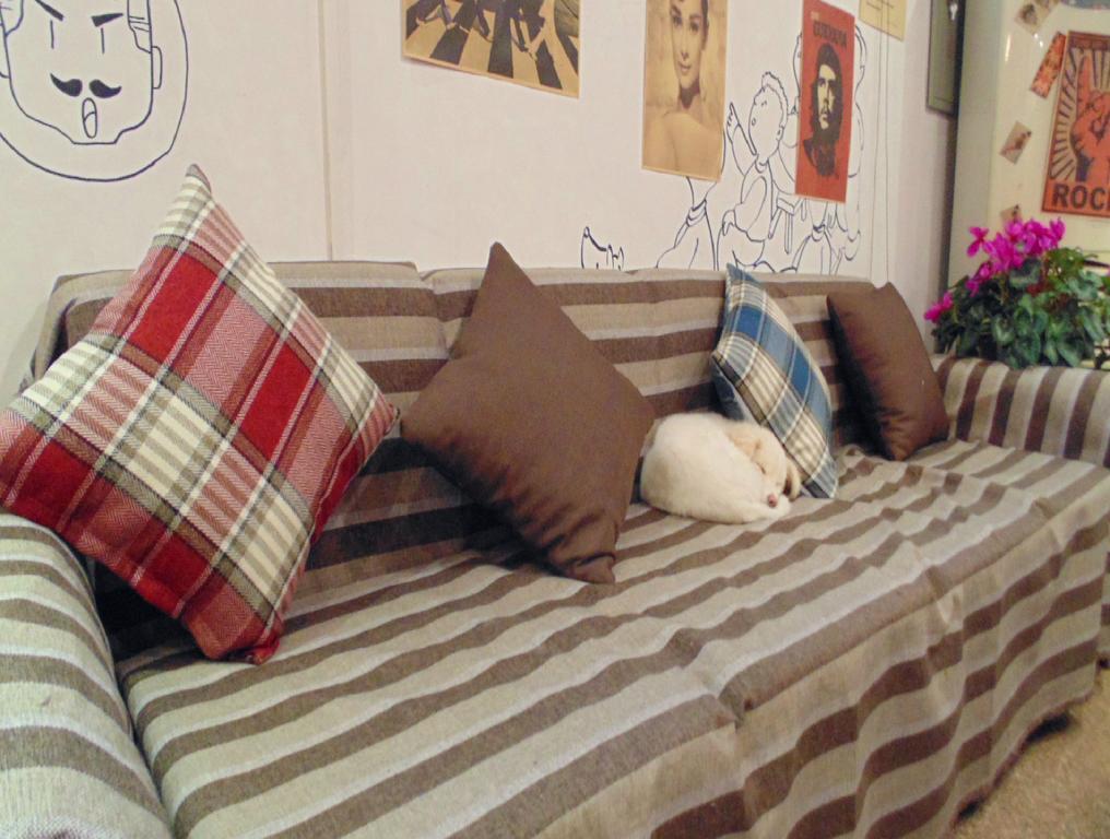 Hua Qiu Ku Youth Hostel East Street Branch Xi'an  Oda fotoğraf